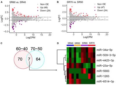 Integrative Analysis of miRNA and mRNA Expression Profiles Associated With Human Atrial Aging